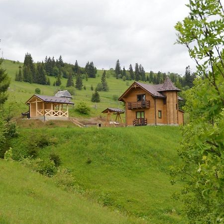 Villa Пагорб Їжака / Hedgehog Hill Jablunyzja Exterior foto